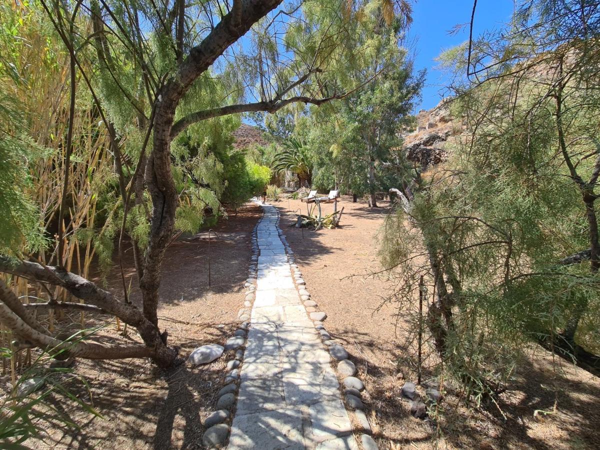 Nature Eco Living Serifos Livadi  Dış mekan fotoğraf
