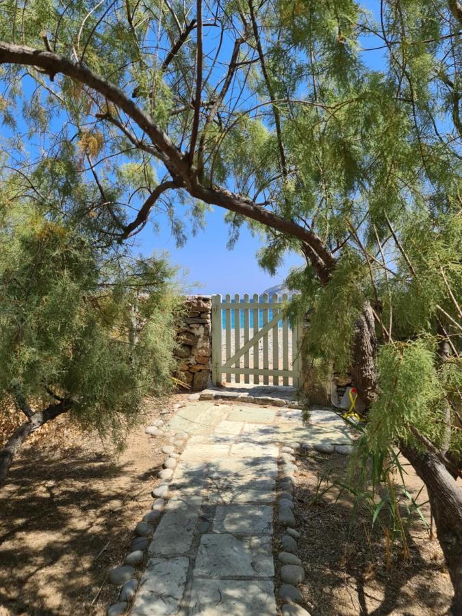 Nature Eco Living Serifos Livadi  Dış mekan fotoğraf